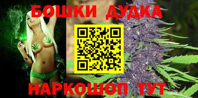 стафф Лесосибирск