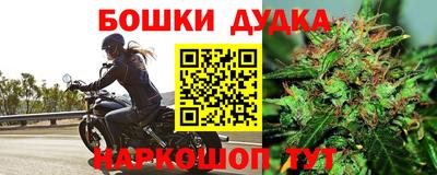 стафф Лесосибирск