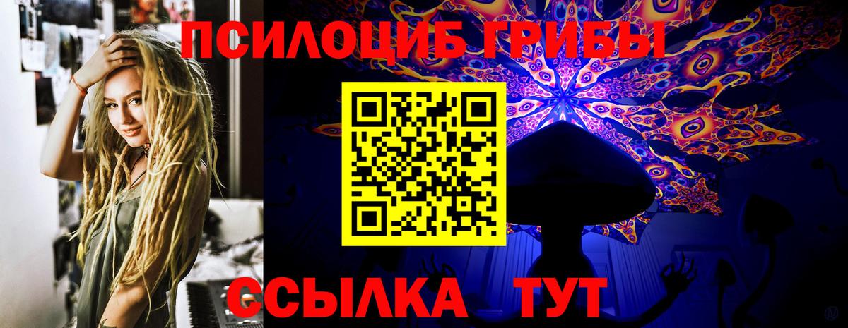 Семёнов  Галлюциногенные грибы Cubensis  Вход с VPN 