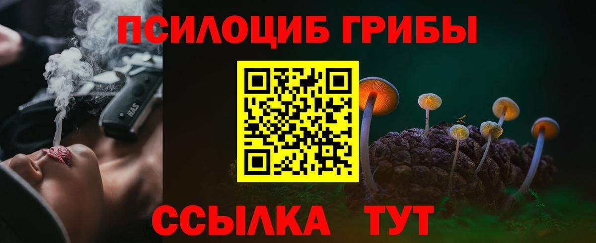 Псилоцибиновые грибы Psilocybe Семёнов